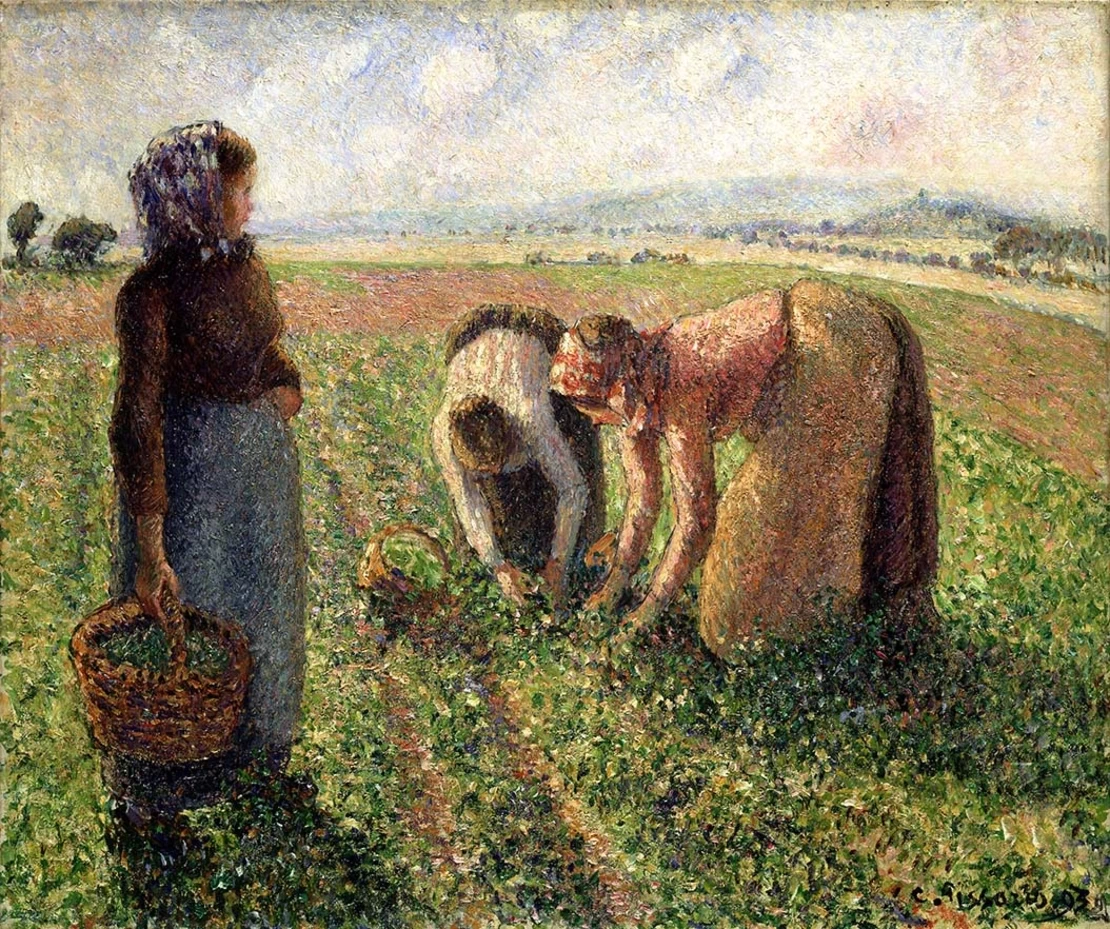 Raccolta dei piselli - Museo Langmatt
